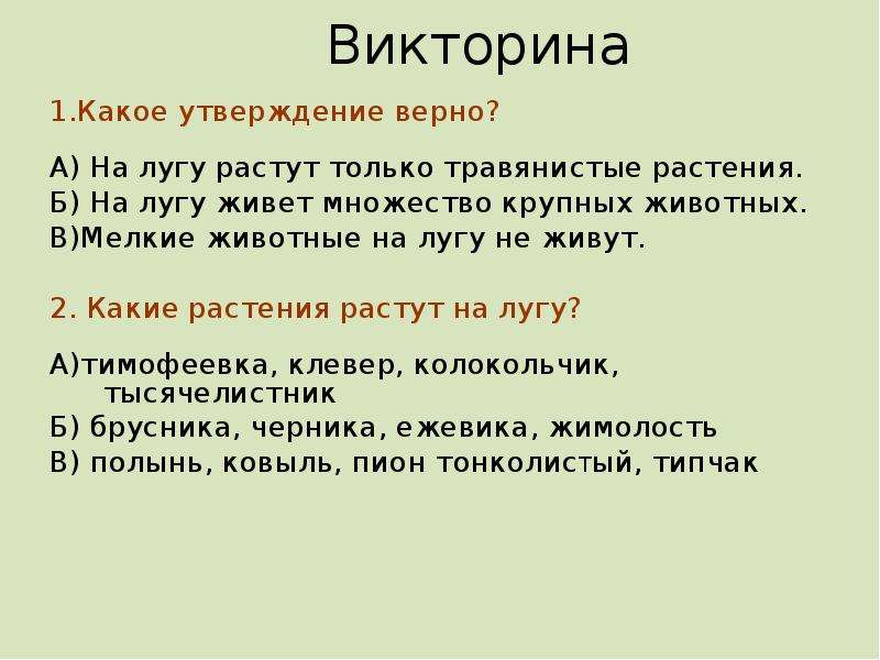 Презентация про луг