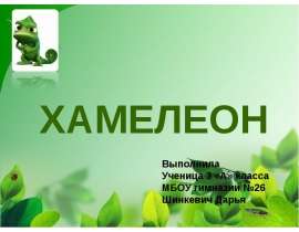 Хамелеон
