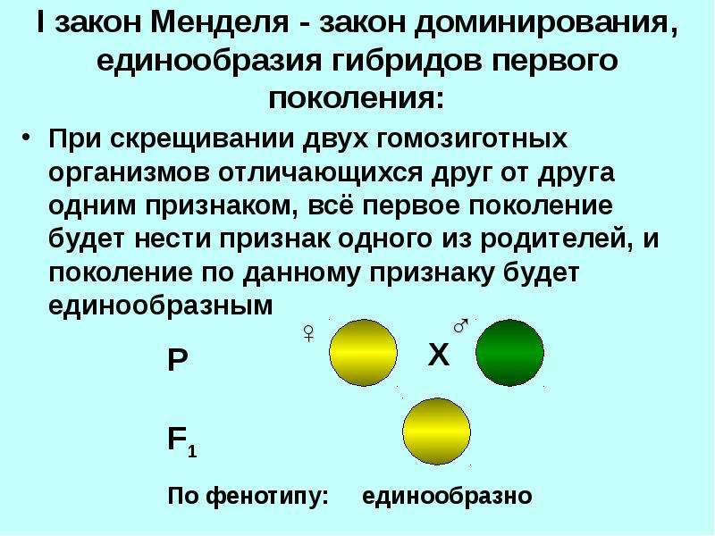 Моногибридное скрещивание презентация