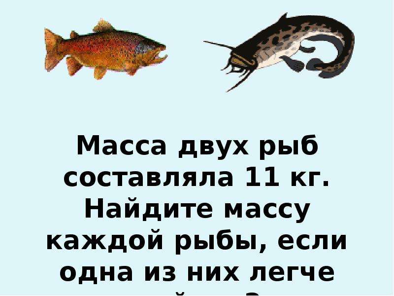 На каждую рыбу. Если есть рыбу каждый день?. Каково это быть двойной рыбой.