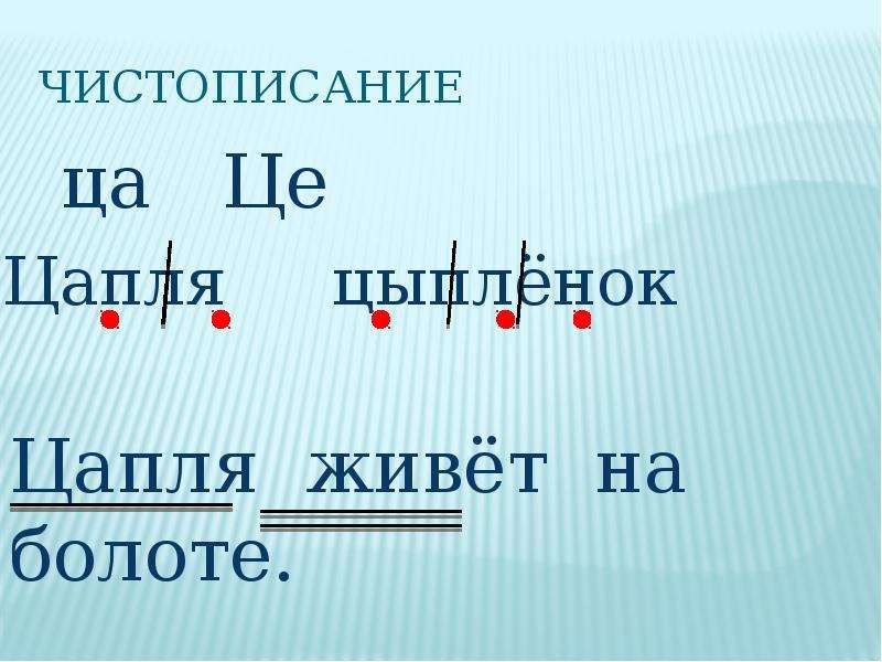 Вставь букву ц ц. Строчная и заглавная буквы ц, ц.. Чистописание цапля. Чистописание буква ц. Соединения с буквой ц.