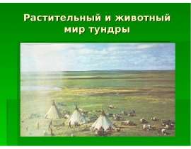 Растительный и животный мир тундры