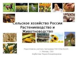 Сельское хозяйство России Растениеводство и Животноводство