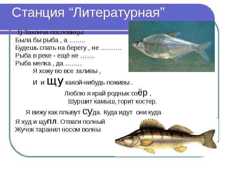 Рыбы презентация 1 класс