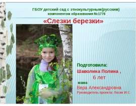 Слезки березы