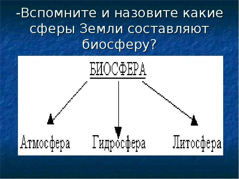 Землю составляют. Вспомнить сферы земли. Название пятой сферы земли. Флору земли составляют. Впишите в схему группы живых организмов составляющих биосферу.