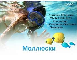 Моллюски 3 класс
