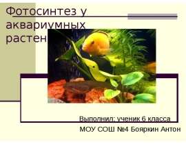 Фотосинтез у аквариумных растений