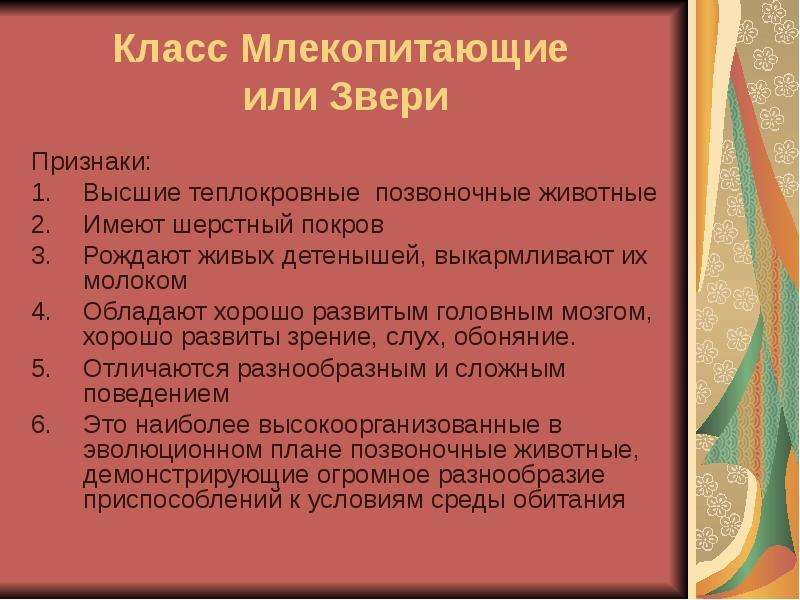 Презентация характеристика млекопитающих