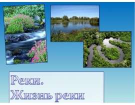 Реки. Жизнь реки