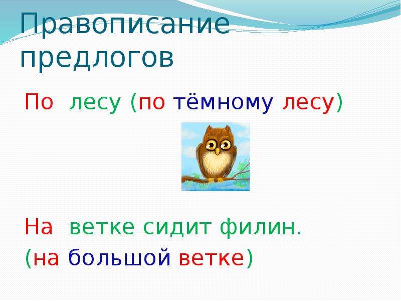 3 правописание предлогов. Предлоги: образование, правописание. Правописание предлогов в лесу. Правописание предлогов 4 класс. Правописание предлогов 11 класс.