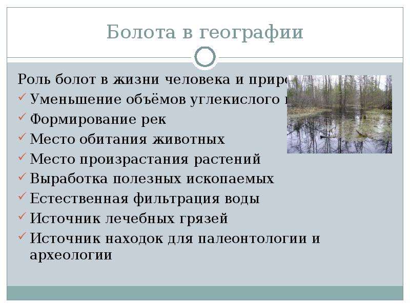 География 6 класс озера и болота презентация 6 класс