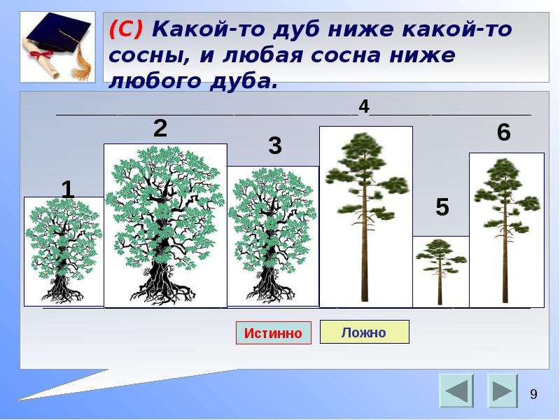 Дуб какой. Высота дуба 3 метра . Дуб ниже сосны в 2 раза. Найди высоту сосны?.