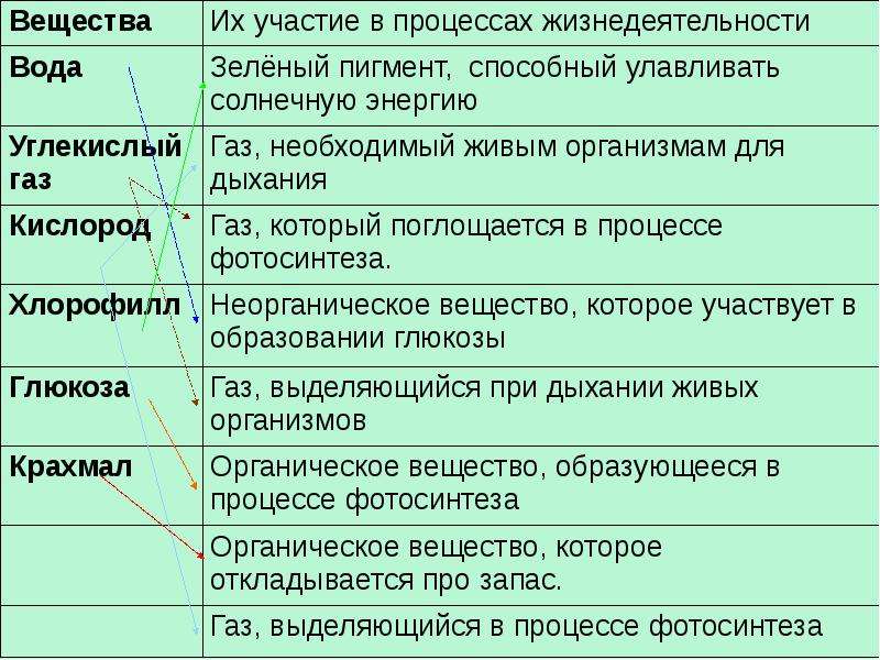 Биология 5 класс таблица жизнедеятельность. Вещества их участие в процессах жизнедеятельности. Вещество вода их участие в процессах жизнедеятельности. Вещество образующееся в процессе жизнедеятельности живых организмов. ГАЗ необходимый живым организмам для дыхания.