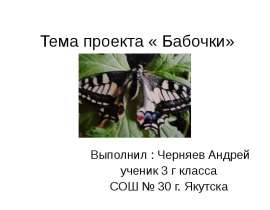Бабочки 3 класс