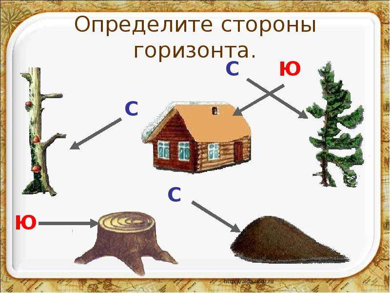 По каким природным признакам можно определить стороны горизонта рисунки для 2 класса окружающий мир