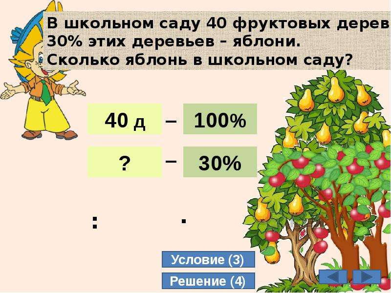 Условие 30. Задача в школьном саду 40 фруктовых деревьев. Фруктовые деревья процента. В школьном саду растут только фруктовые деревья. В школьном саду 40 фруктовых деревьев 30 этих деревьев яблони остальные.