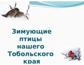 Зимующие птицы нашего Тобольского края