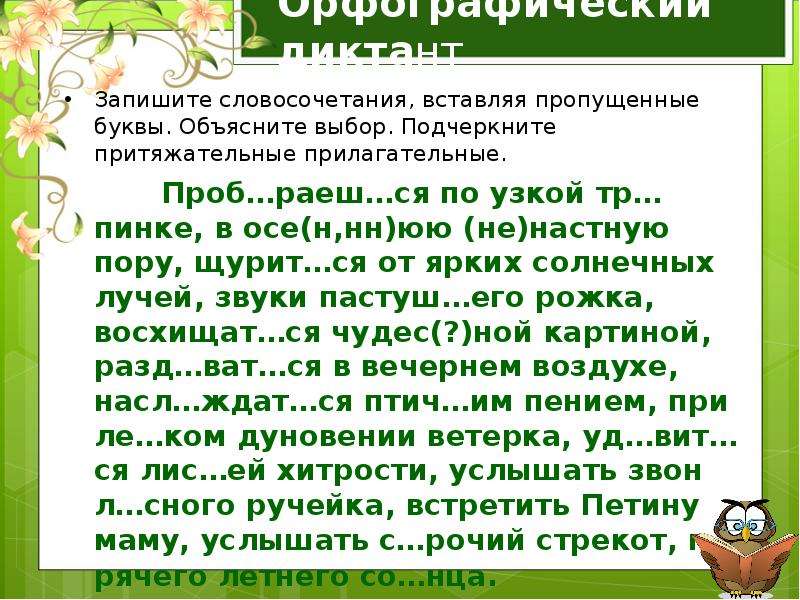 Запишите слова вставляя пропущенные буквы приехать приманить презентация