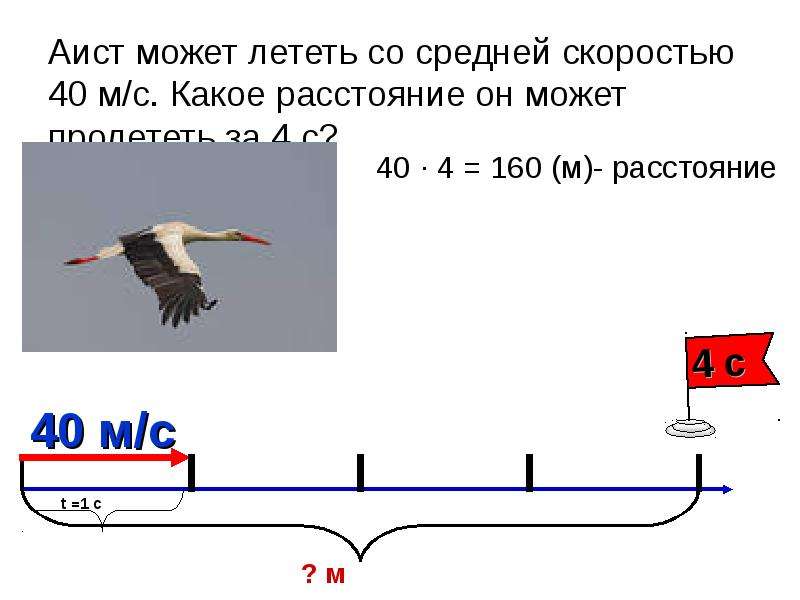 Задачи на скорость расстояние 4 класс. Задачи на скорость время расстояние 4 класс. Аист может летать со средней скоростью. Аист может лететь со скоростью 600 м/мин какое расстояние он. Аист задания.