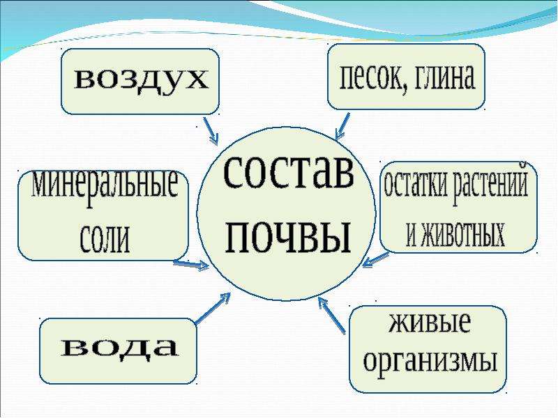 Состав почвы презентация