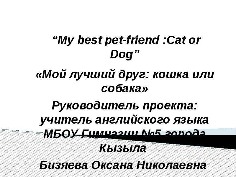 Сочинение про питомца на английском. Сочинение мой питомец 1 класс.