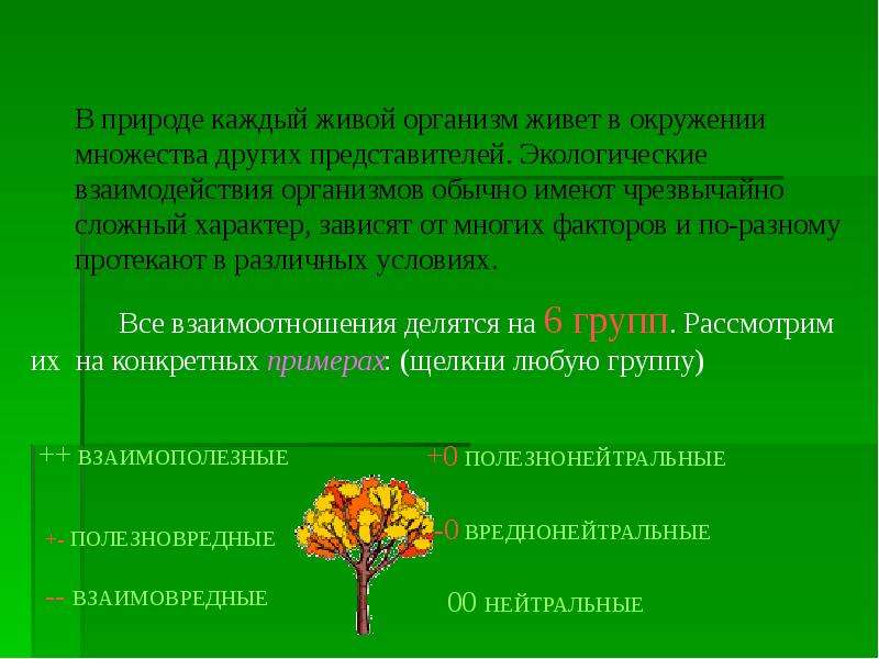 Экологические взаимодействия в природе. Экологические взаимоотношения. Экологические взаимодействия организмов. Экология взаимодействие организмов. Экологическое взаимоотношение организмов.