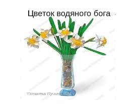Цветок водяного бога