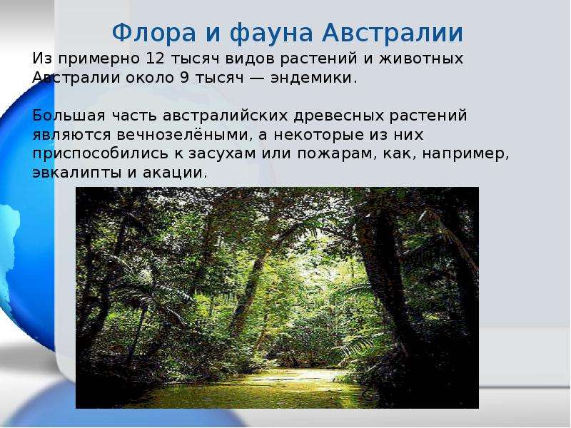 Жизнь организмов на разных материках 5 класс биология презентация пономарева