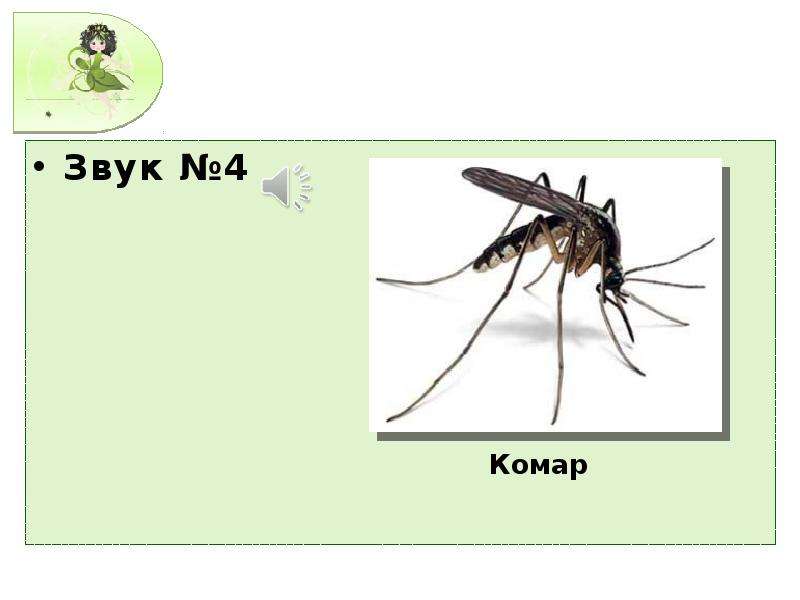 Звук комара. Звук комаров. Пов звуки комара. Звук комара Знаток.