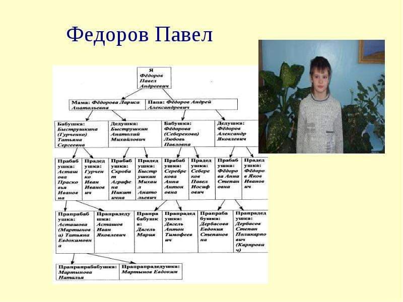 Родословная презентация 11 класс