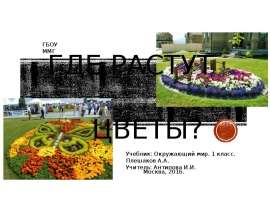 Где растут цветы (1 класс)