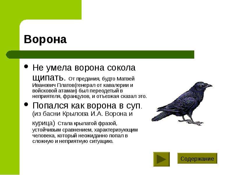 Что значит вороной. Пословицы про ворона. Ворона и курица. Органы передвижения вороны. Положительные стороны вороны.