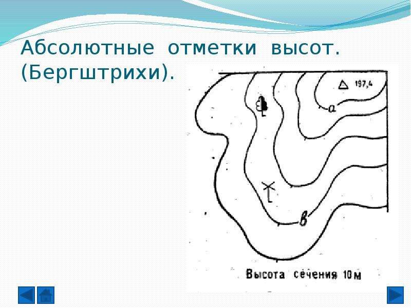 Карта абсолютных отметок