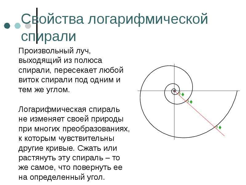 Нарисовать спираль логарифмическая