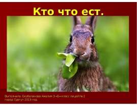 Кто что ест
