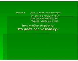 Что дает лес человеку?