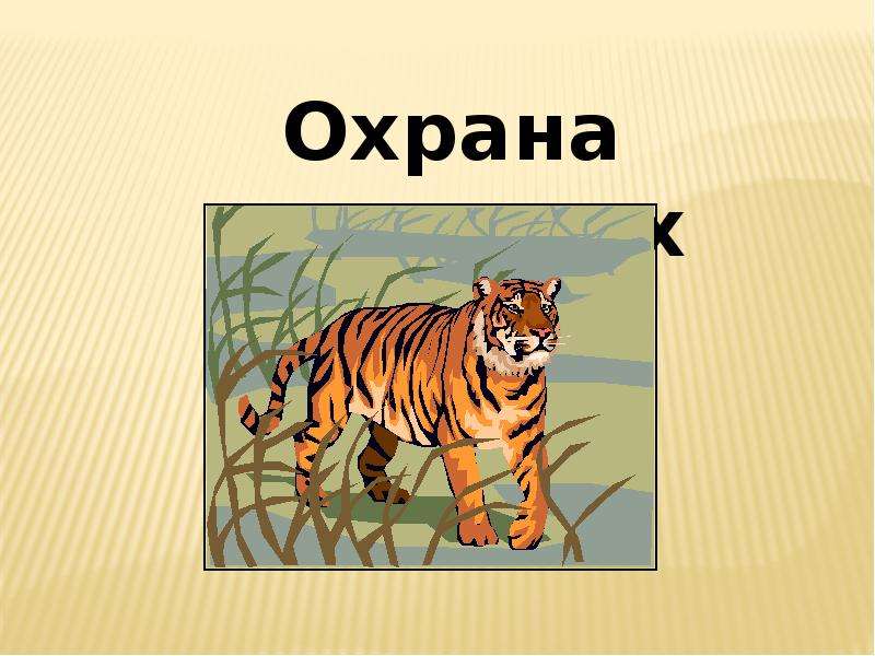 Охрана животных картинки