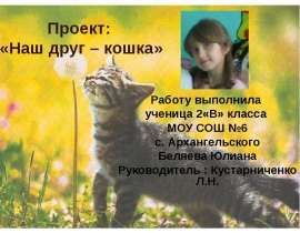 Наш друг – кошка