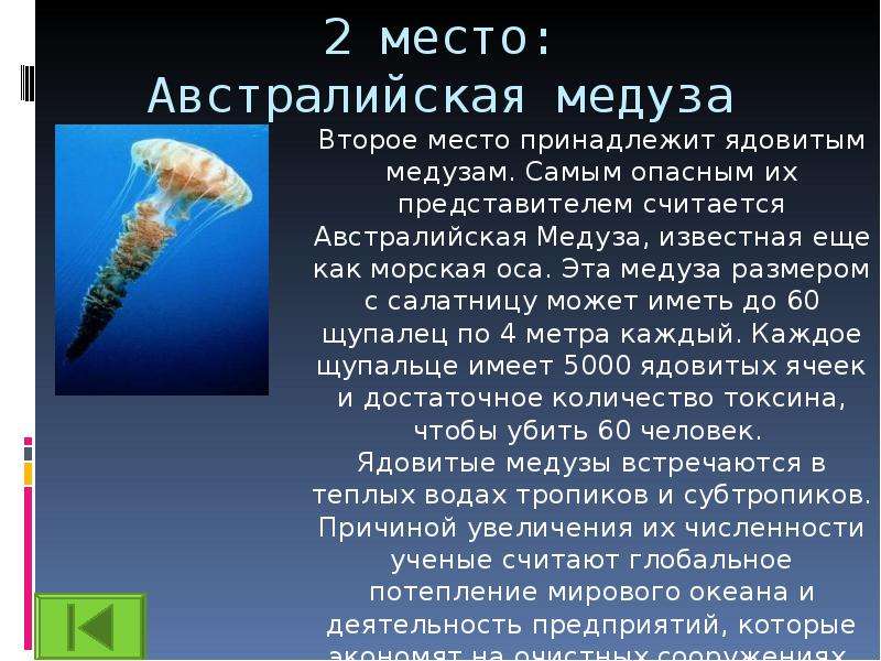 Сообщение о самом. Доклад о опасном животном. Доклад самые опасные животные. Презентация опасные животные. Доклад про опасного животного.