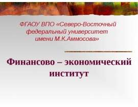 Финансово – экономический институт