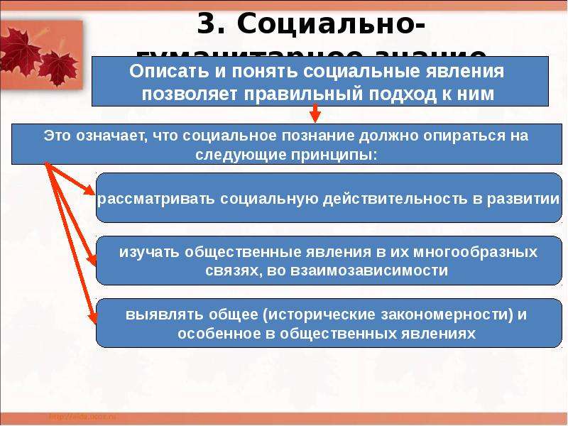 Социально гуманитарные проекты