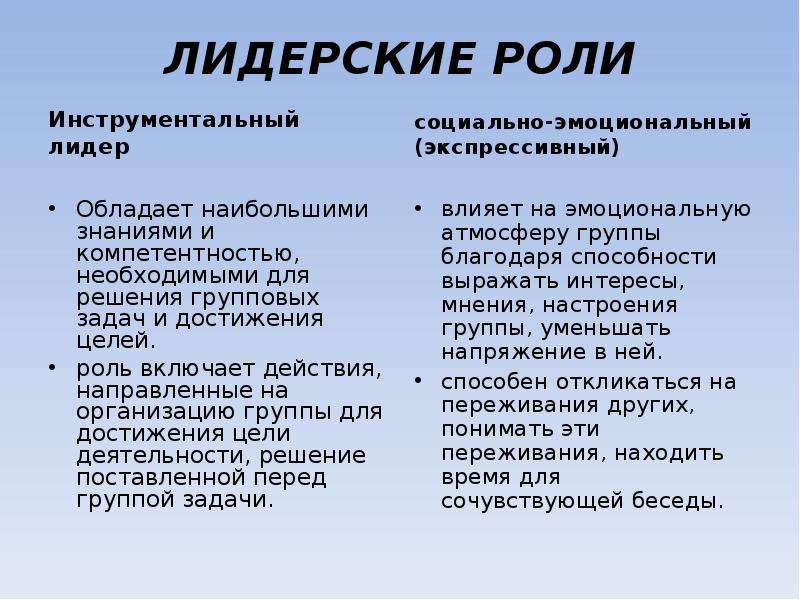 Групповая дифференциация и лидерство презентация