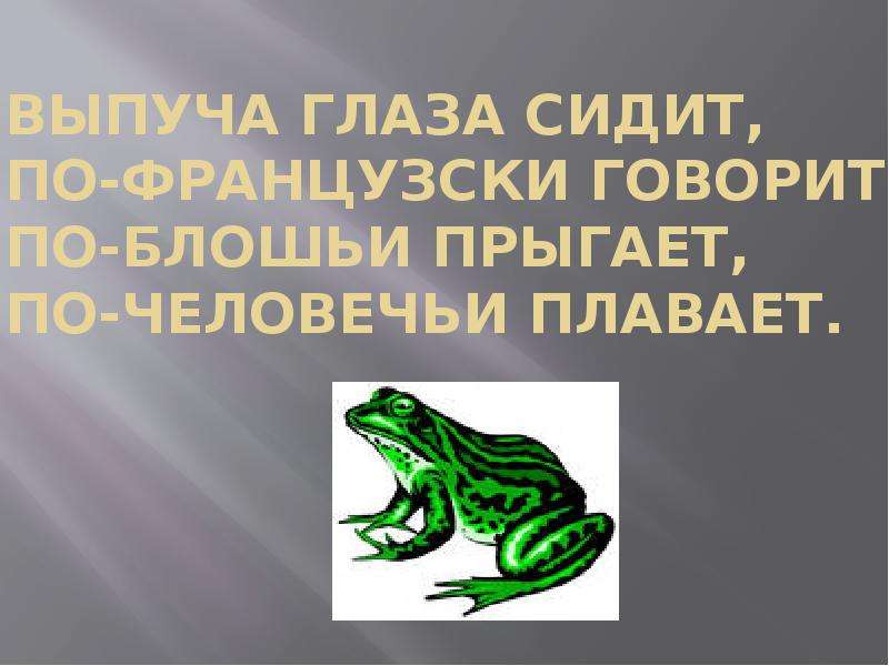 Лягушка путешественница презентация 3 класс школа. Выпуча глаза сидит. Выпуча глаза сидит по-французски говорит. Выпуча глаза сидит по французски говорит по человечьи плавает. Загадка выпуча глаза сидит.