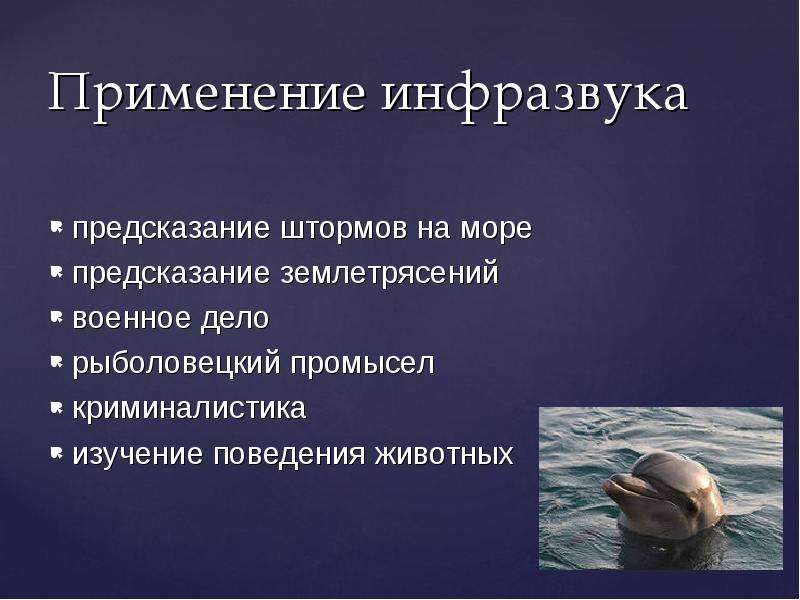 Инфразвук и ультразвук презентация. Инфразвук в живой природе. Инфразвук презентация. Использование инфразвука и применение. Рыболовецкий промысел инфразвук.