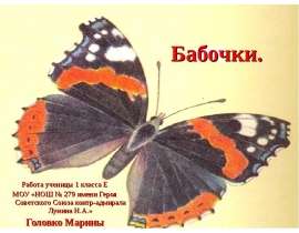 Бабочки 1 класс