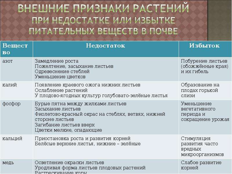 Недостатки почвы. Дополнительные условия развития корней. Плюсы и минусы почвы.