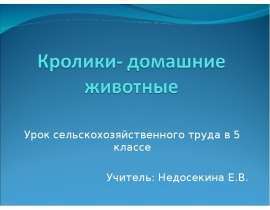 Кролики- домашние животные