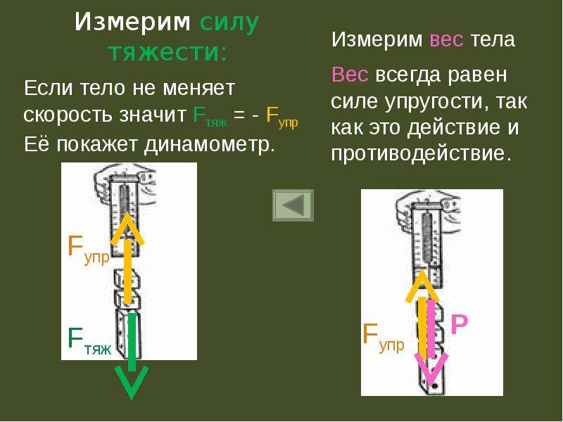 Сила упругости равна силе тяжести. Измерение силы тяжести. Как измерить силу тяжести. Сложение сил тяжести.