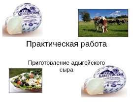 Технология приготовление адыгейского сыра